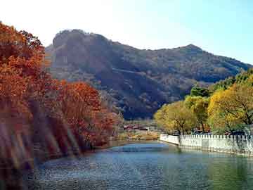 管家婆黑白马报图库，非你莫属 文颐